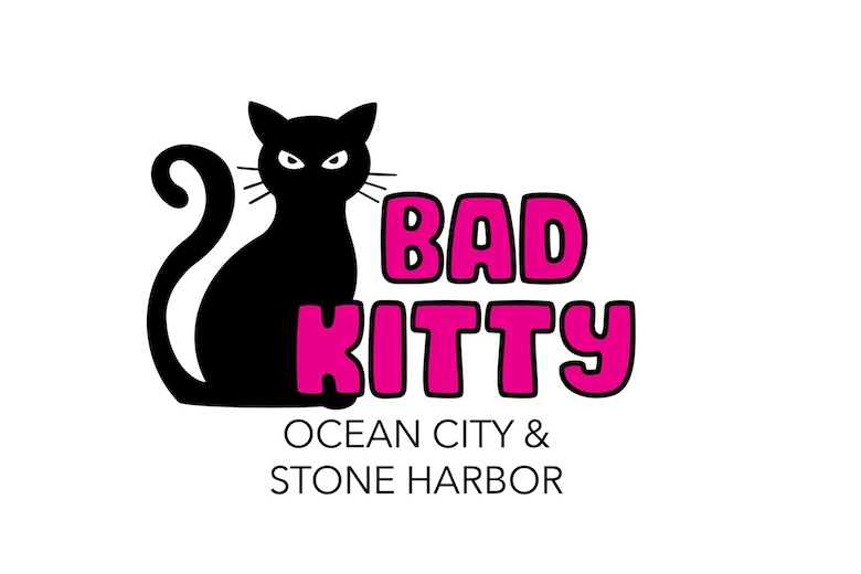 Things To Do Bad Kitty Kids